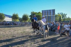 magia-caballo-bembibre-2026-14