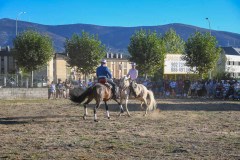 magia-caballo-bembibre-2026-15
