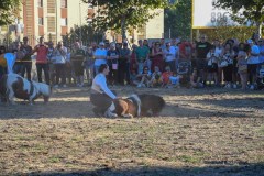 magia-caballo-bembibre-2026-17