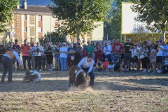 magia-caballo-bembibre-2026-18