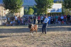 magia-caballo-bembibre-2026-19