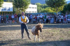 magia-caballo-bembibre-2026-20