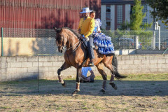 magia-caballo-bembibre-2026-22
