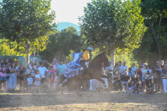 magia-caballo-bembibre-2026-25