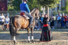 magia-caballo-bembibre-2026-27