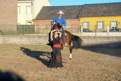 magia-caballo-bembibre-2026-28