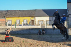 magia-caballo-bembibre-2026-29