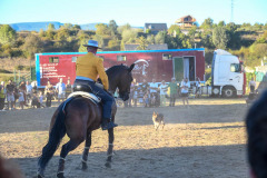 magia-caballo-bembibre-2026-31