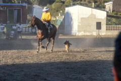 magia-caballo-bembibre-2026-32