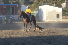 magia-caballo-bembibre-2026-33