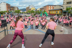 marcha-rosa-bembibre-2026_06