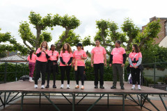 marcha-rosa-bembibre-2026_12