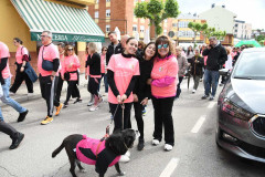 marcha-rosa-bembibre-2026_35