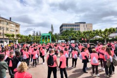 marcha-rosa-bembibre-2026_37