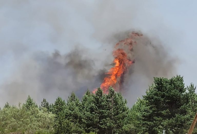 Incendios forestales San Adrián de Valdueza Ponferrada
