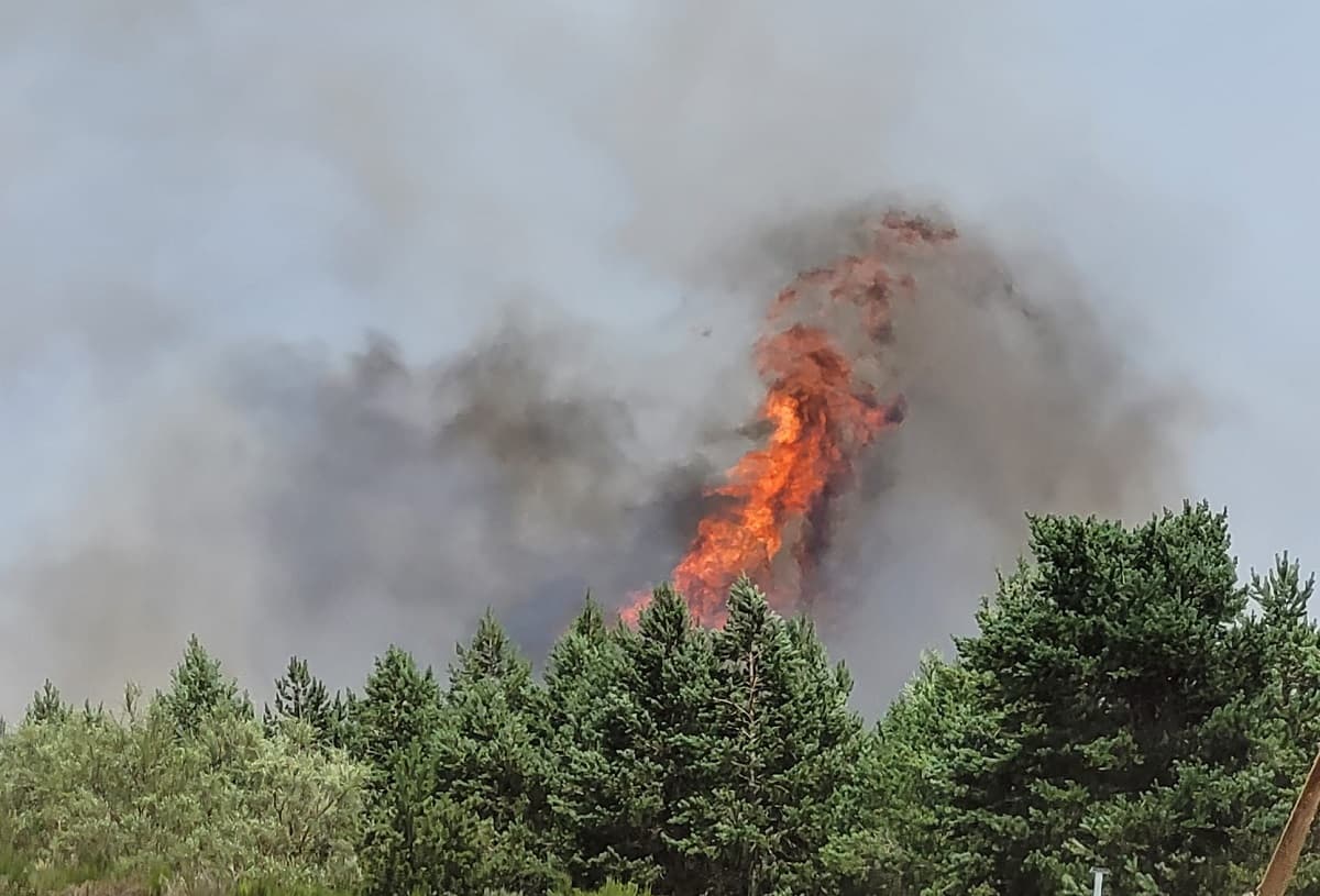 Incendios forestales San Adrián de Valdueza Ponferrada