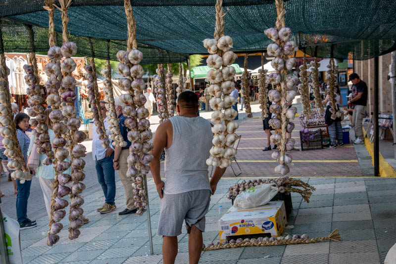 Mercado de ajos en Bembibre