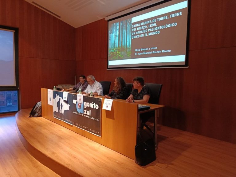 Presentación fósil carbonífero Bembibre