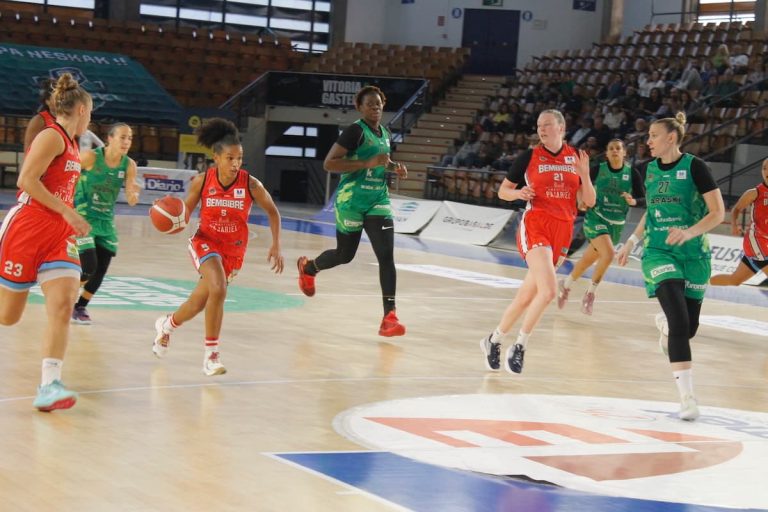 Baloncesto Pajariel Bembibre Araski