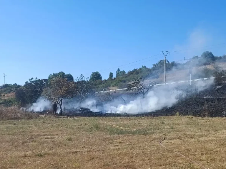 Incendio forestal Mojasacos Bembibre
