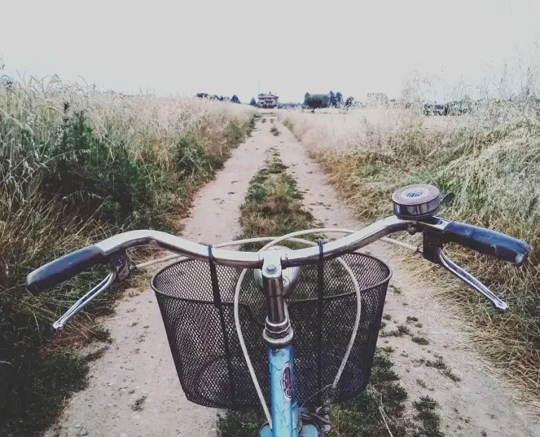 Bicicleta clásica