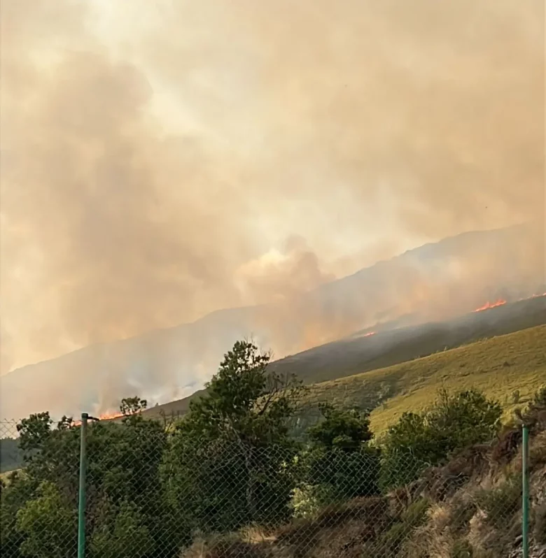 Incendio Colinas del Campo Igüeña