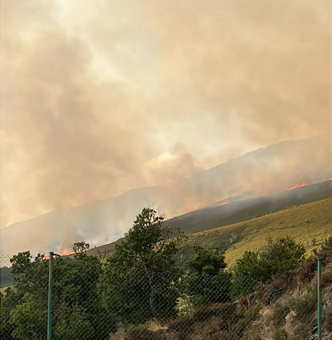 Incendio Colinas del Campo Igüeña