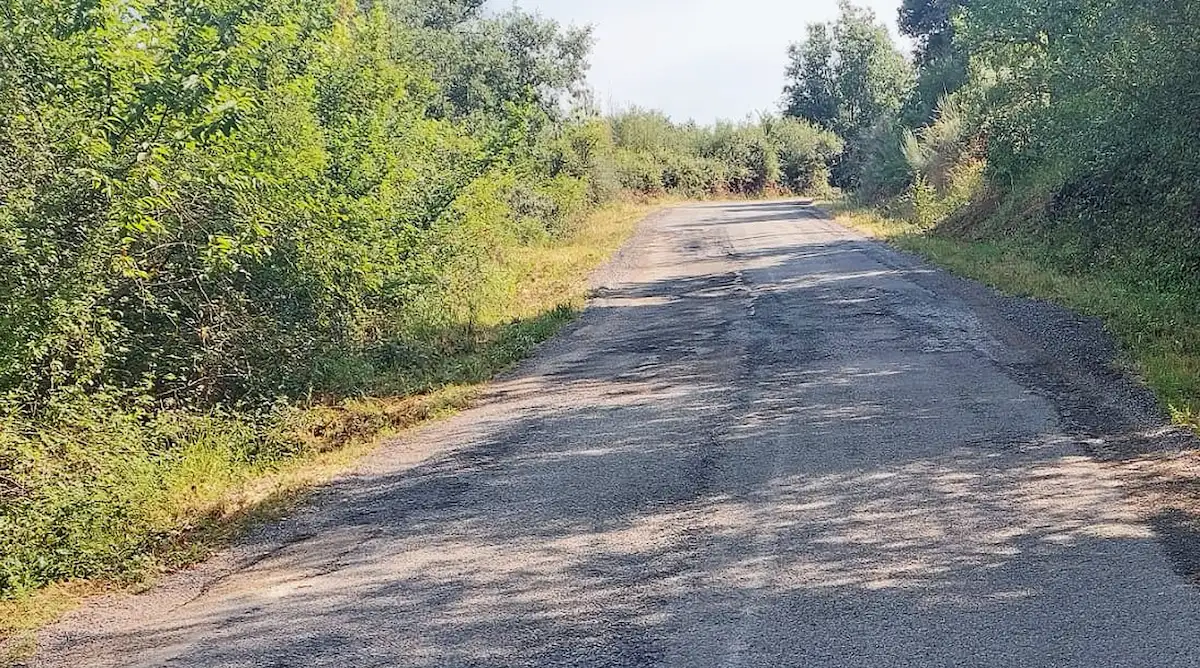 Carretera en el municipio de Castropodame con vegetación en los márgenes y deterioro visible en el firme.